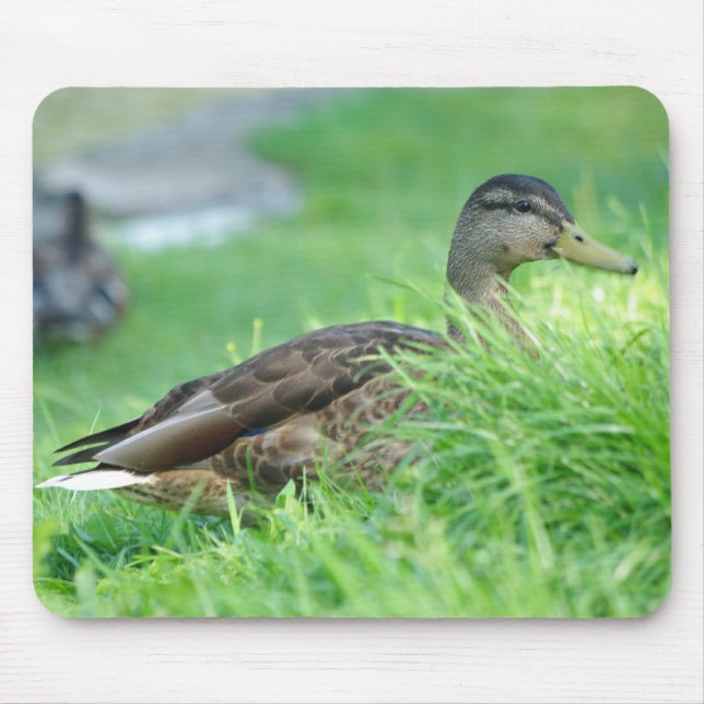 Tapis De Souris Mallard Mousepad (Devant)