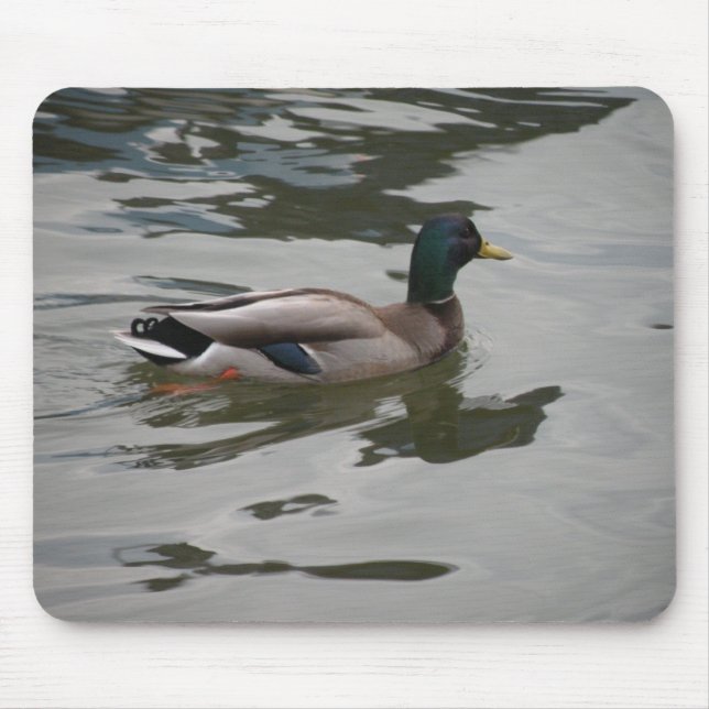 Tapis De Souris Mallard Mousepad (Devant)