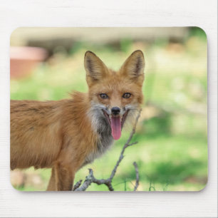 Tapis De Souris Mama Fox dans la vallée de l'Hudson