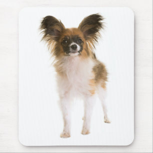 Tapis De Souris Maman chiot Papillon amoureuse des chiens Maman d