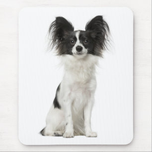 Tapis De Souris Maman chiot Papillon amoureuse des chiens Mamas e