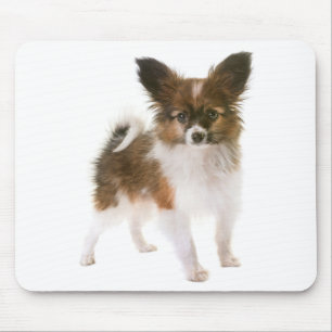 Tapis De Souris Maman chiot Papillon amoureuse des chiens  Mamas e