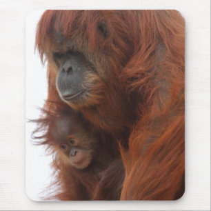 Tapis De Souris Maman et bébé Orangutan