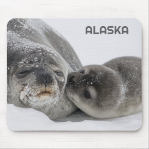 Tapis de souris Maman et bébé phoque d'Alaska Mign