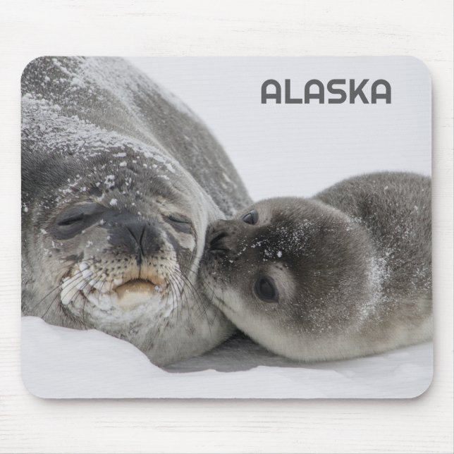 Tapis de souris Maman et bébé phoque d'Alaska Mign (Devant)