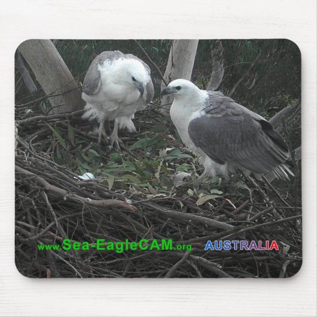 Tapis De Souris Maman et papa admirant les oeufs Mousepad 02 (Devant)