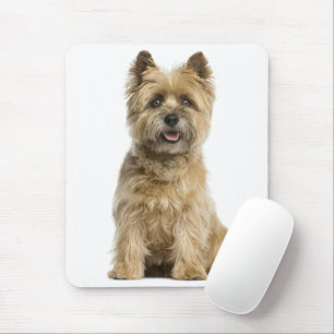 Tapis De Souris Maman Terrier Cairn Chien Papa Maman Fourrure Sauv