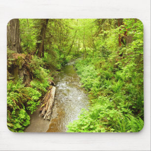 Tapis De Souris Man Creek II perdu dans le parc national Redwood