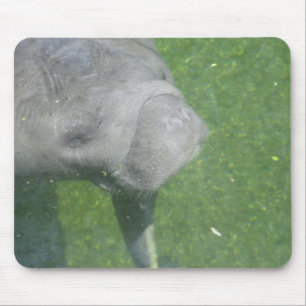 Tapis De Souris Manatee Smiles mousepad