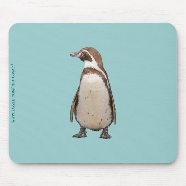 Tapis De Souris Manchot (Devant)
