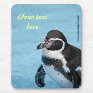 Tapis de souris Manchot de Magellan