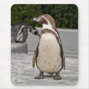 Tapis de souris Manchot de Magellan brun