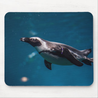 Tapis De Souris Manchot empereur nageant dans la mer.