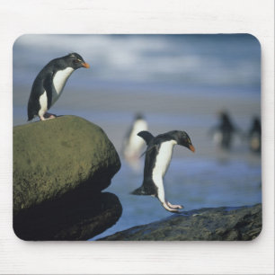Tapis De Souris Manchots à cosses, Eudyptes chrysocome),