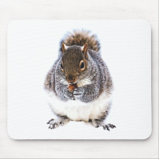 Tapis De Souris Manger l'écureuil