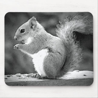 Tapis De Souris Manger l'écureuil