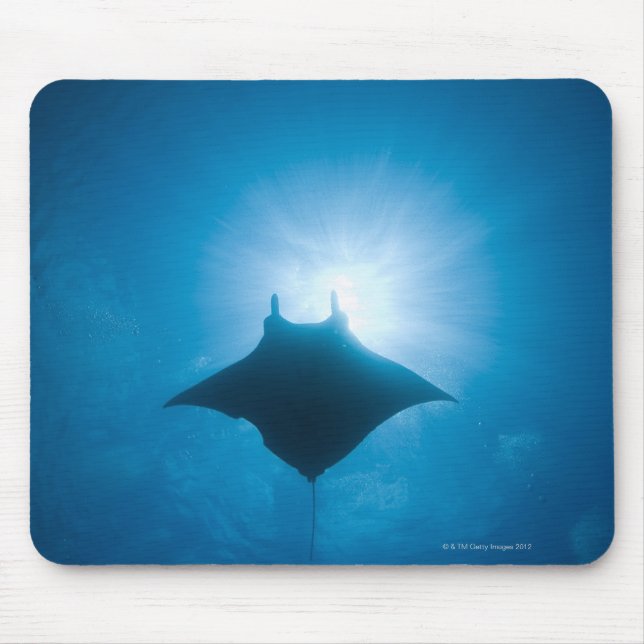 Tapis De Souris Manta nage sous-marine (Devant)