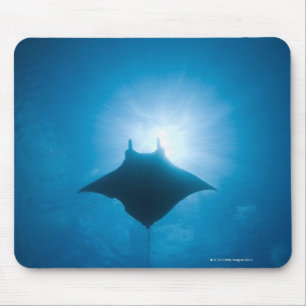 Tapis De Souris Manta nageant sous l'eau
