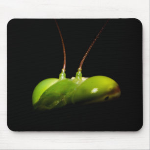 Tapis De Souris Mante priante