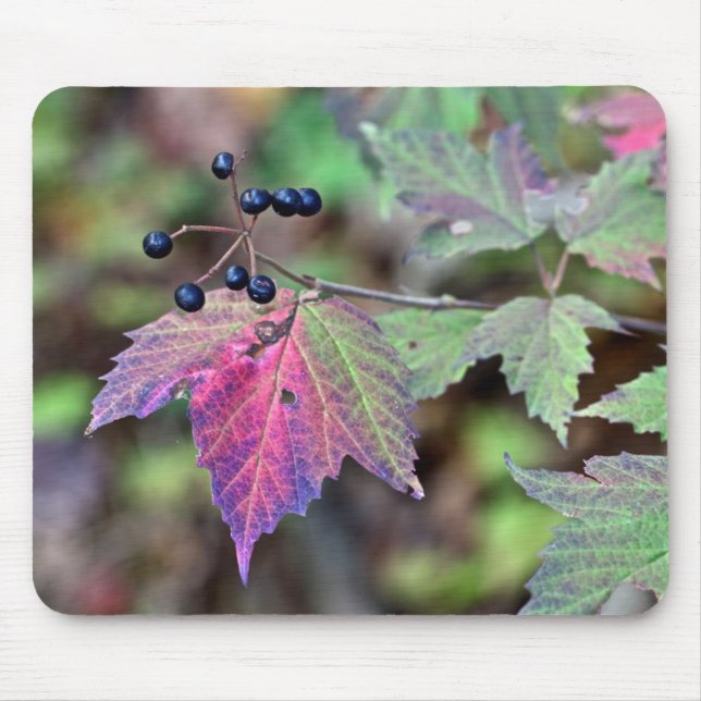 Tapis De Souris Mapleleaf Viburnum Feuilles d'automne et baies (Devant)