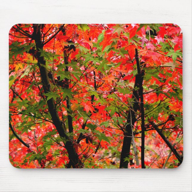 Tapis De Souris Maples japonaises (Devant)