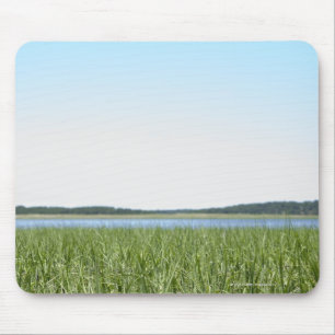 Tapis De Souris Marais de Cape Cod