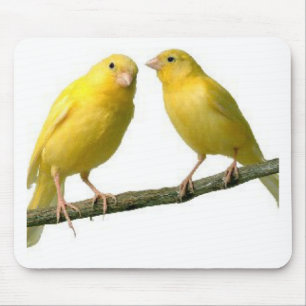 Tapis De Souris Marchandises pour animaux de compagnie Canary Bird