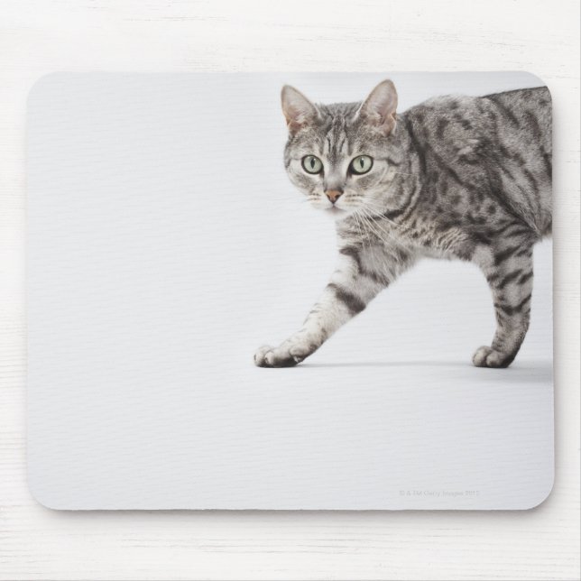 Tapis De Souris Marche de chats (Devant)