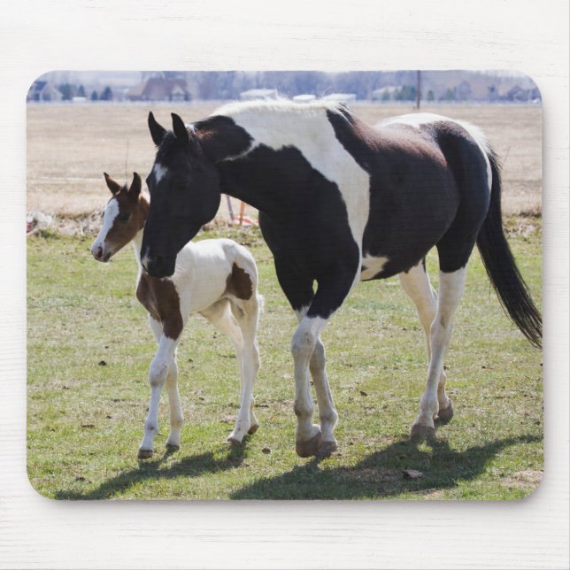 Tapis De Souris Mare and Filly Walking (Devant)