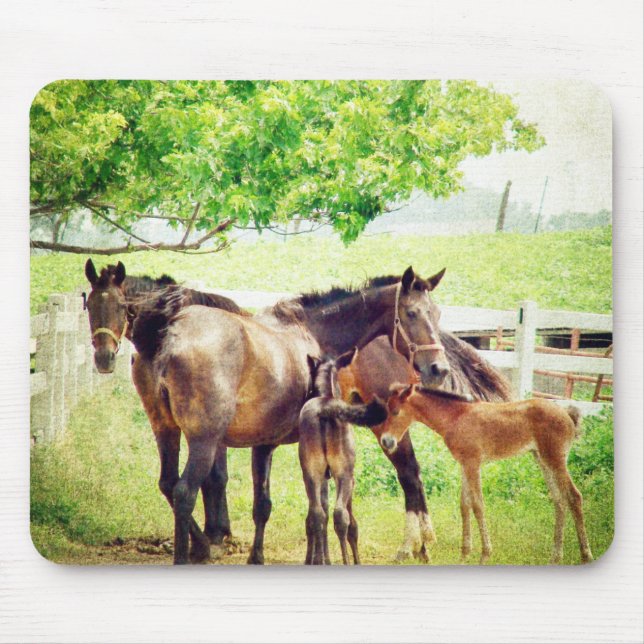 Tapis De Souris Mares and Foals (Devant)