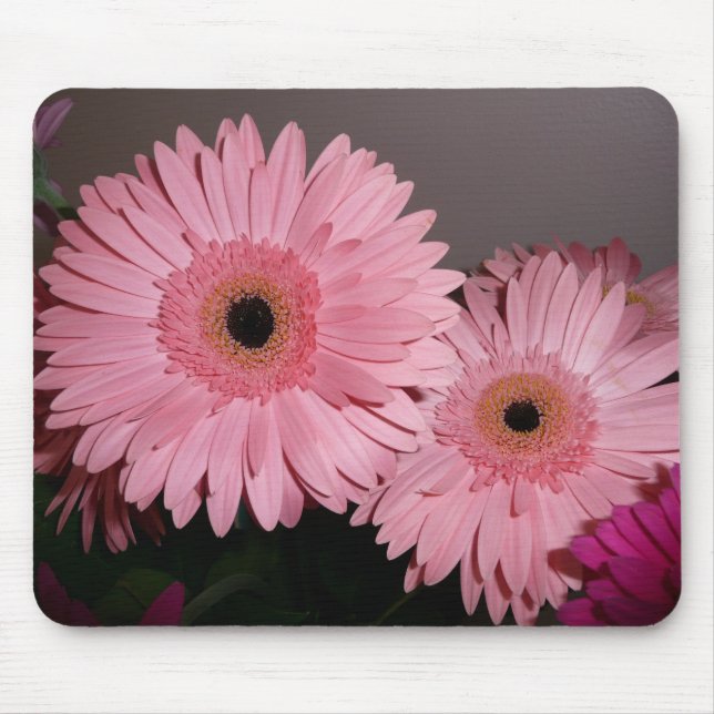 Tapis De Souris Marguerite rose de Gerber (Devant)