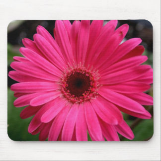 Tapis De Souris Marguerite rose de Gerbera