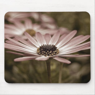 Tapis De Souris Marguerite rose macro
