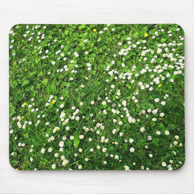 Tapis De Souris Marguerites dans l'herbe (Devant)