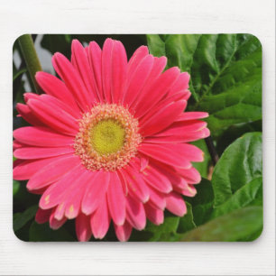Tapis De Souris marguerites du Gerbera 365flower