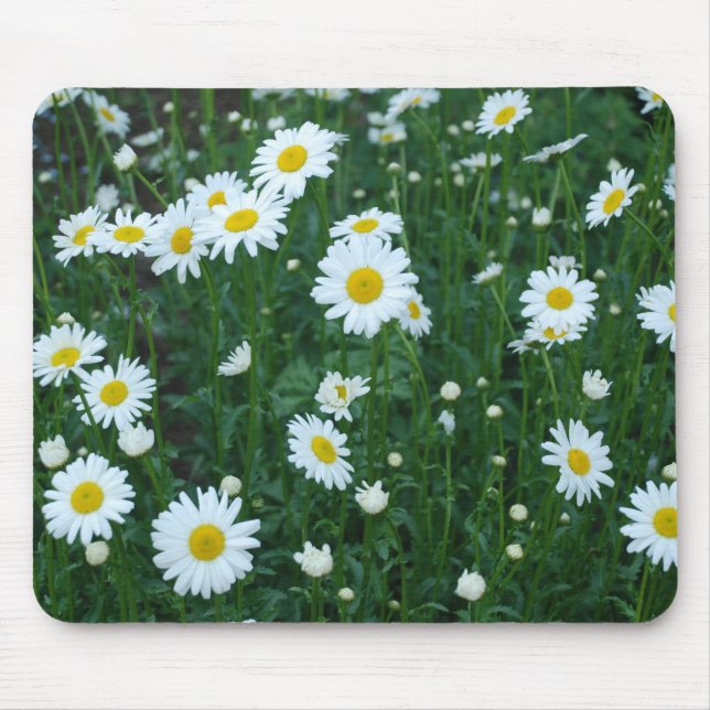 Tapis De Souris Marguerites - Mousepad (Devant)
