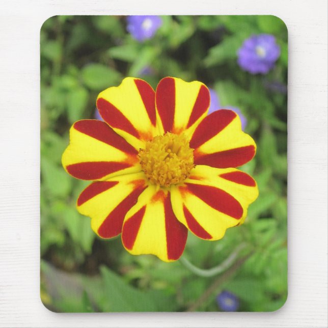 Tapis De Souris Marigold français rayé Photo Mousepad (Devant)