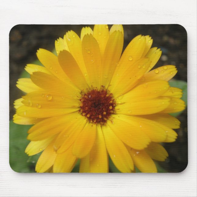 Tapis De Souris Marigold jaune Macro Mousepad (Devant)