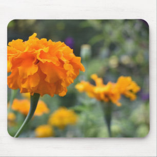 Tapis De Souris Marigold Orange Fleur Nature Jardin photographique