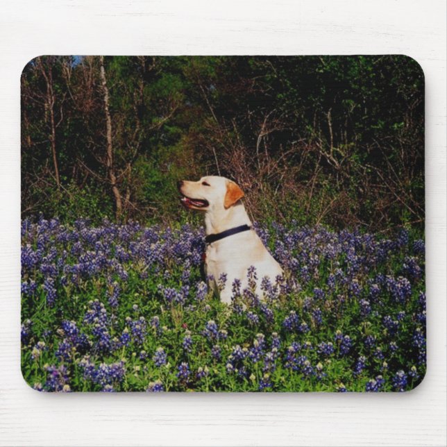 Tapis De Souris Marin dans le mousepad de bluebonnets (Devant)