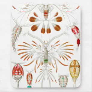 Tapis De Souris Marine Life Crustacés, Copepoda par Ernst Haeckel