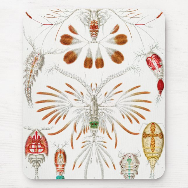 Tapis De Souris Marine Life Crustacés, Copepoda par Ernst Haeckel (Devant)