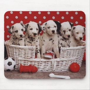 Tapis De Souris Marionnettes de Dalmatie dans une bousepad en pani