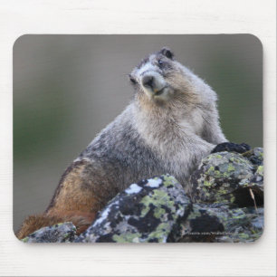 Tapis De Souris Marmot