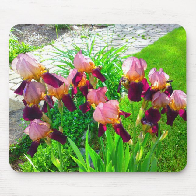 Tapis De Souris Maroon Iris Fleur Mousepad (Devant)