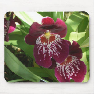 Tapis De Souris Maroon Orchids II