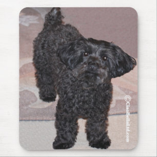 Tapis De Souris Martini le Yorkie-Poo