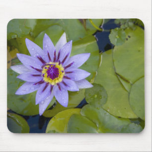 Tapis De Souris Martinique, Antilles, Antilles, Antilles, Bleu