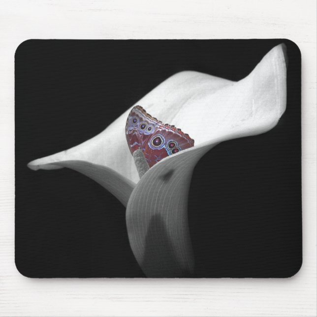 Tapis De Souris Masquer Et Rechercher (Devant)