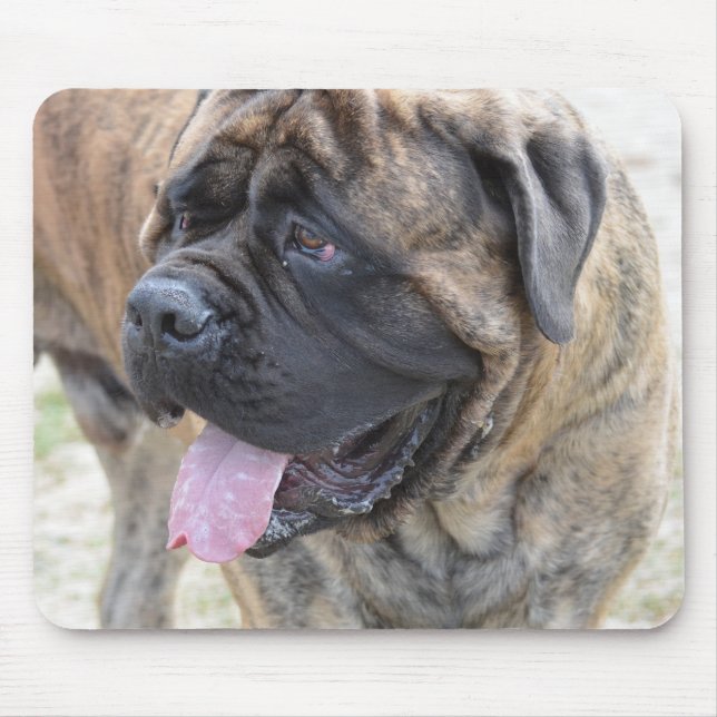 Tapis De Souris Mastiff Brindle (Devant)